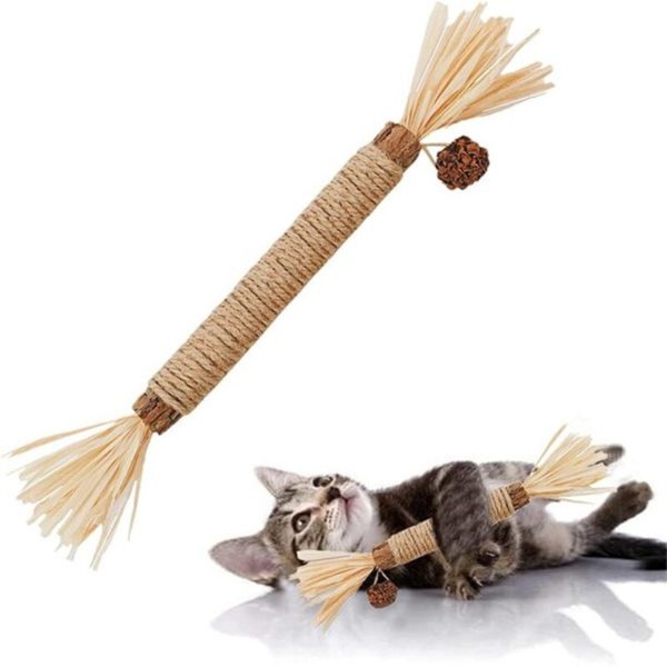 B ton Polygonum en bois pour chat jouet en forme de Lafite d herbe chat b