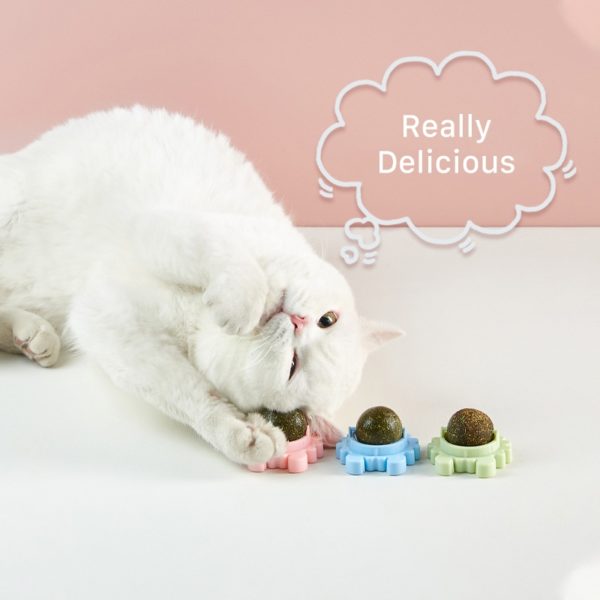 Boule de bonbons pour chat jouets en forme d herbe chat en cas l cher Nutrition 1