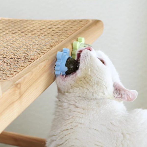 Boule de bonbons pour chat jouets en forme d herbe chat en cas l cher Nutrition 2