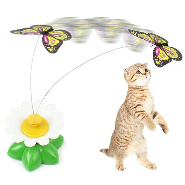 Jouet lectrique man ge papillons pour chat jeu automatique de rotation en forme de papillon color 1