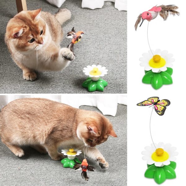 Jouet lectrique man ge papillons pour chat jeu automatique de rotation en forme de papillon color