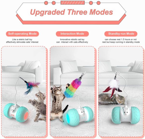 Jouets interactifs d int rieur pour chats jouets lectroniques automatiques pour chaton avec souris et 3 1