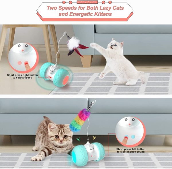 Jouets interactifs d int rieur pour chats jouets lectroniques automatiques pour chaton avec souris et 3 2