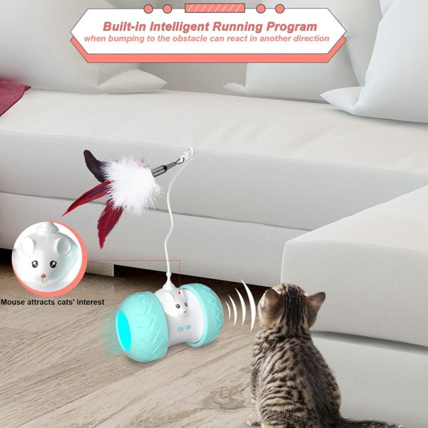 Jouets interactifs d int rieur pour chats jouets lectroniques automatiques pour chaton avec souris et 3 5