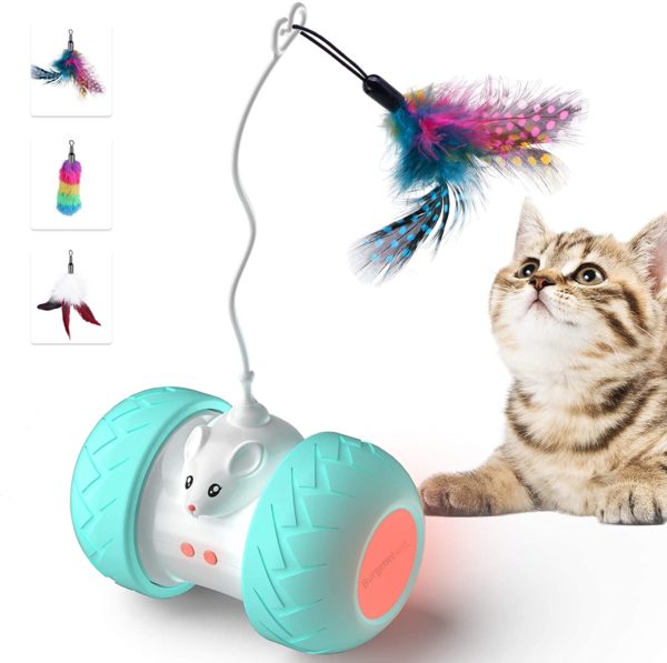 Jouets interactifs d int rieur pour chats jouets lectroniques automatiques pour chaton avec souris et 3