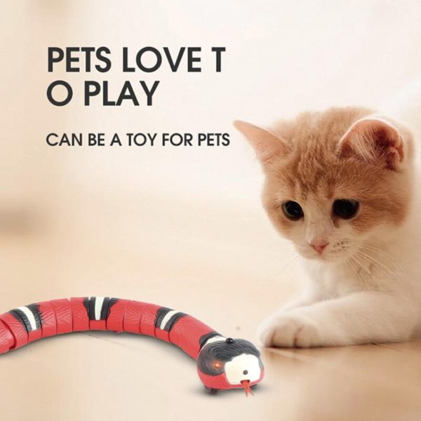 Jouets interactifs d tection intelligente de serpent pour chats accessoires amusants rechargeables par USB pour animaux 1