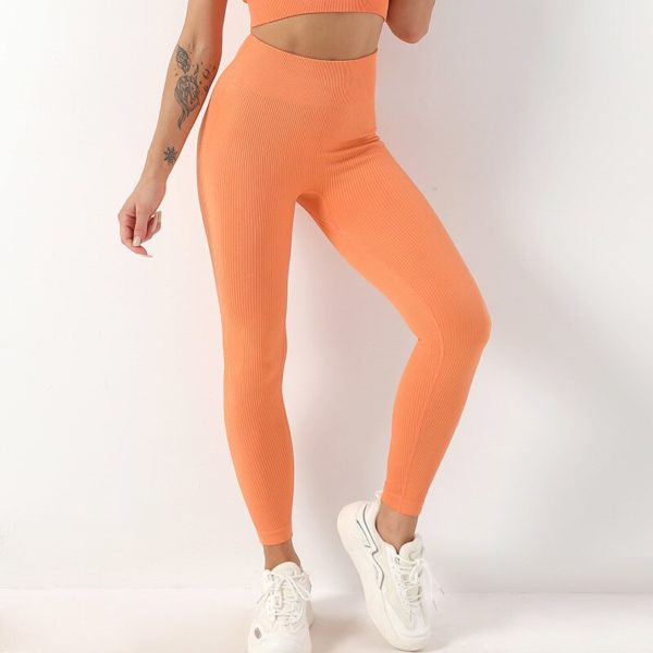 Leggings côtelés sans couture pour femmes, pantalons de Yoga, de sport, Push-Up, vêtements de gymnastique, taille haute, collants d'entraînement et de Fitness – Image 6