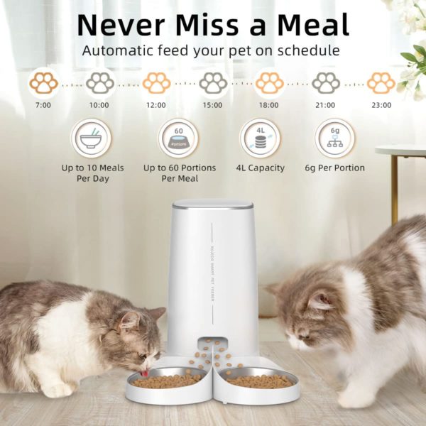 ROJECO mangeoire automatique pour animaux de compagnie 4L distributeur de nourriture pour chats accessoires t l 2