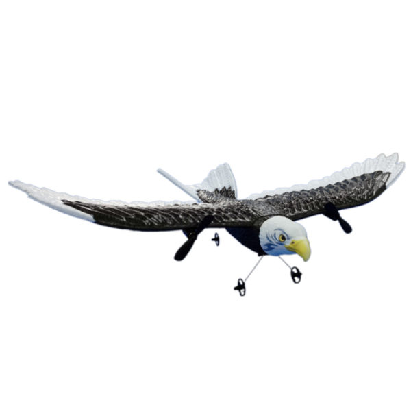 Avion radiocommand t l command avion de chasse aigle bionique planeur de loisir avion en mousse 3