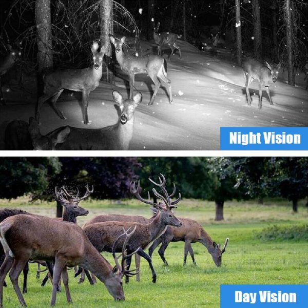 Cam ra de surveillance pour la chasse et le gibier dispositif de s curit Vision nocturne 4
