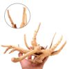 Décoration d'aquarium en bois pour arbres naturels, 1 pièce, fournitures d'ornement pour aménagement paysager – Image 5