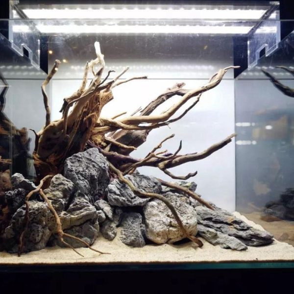 D coration d aquarium en bois pour arbres naturels 1 pi ce fournitures d ornement pour
