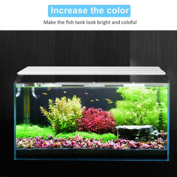 Lumi re LED d aquarium avec minuterie tanche clairage Led pour Aquarium plantes d int rieur 3