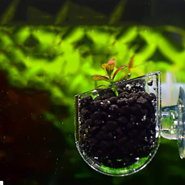 Mini Pot en verre acrylique cristal d coration d aquarium suspendu cylindre de plantation d eau 2