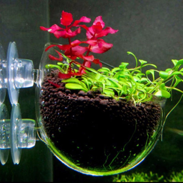 Mini Pot en verre pour Aquarium d coration d aquarium Pot en Pot d eau Polka