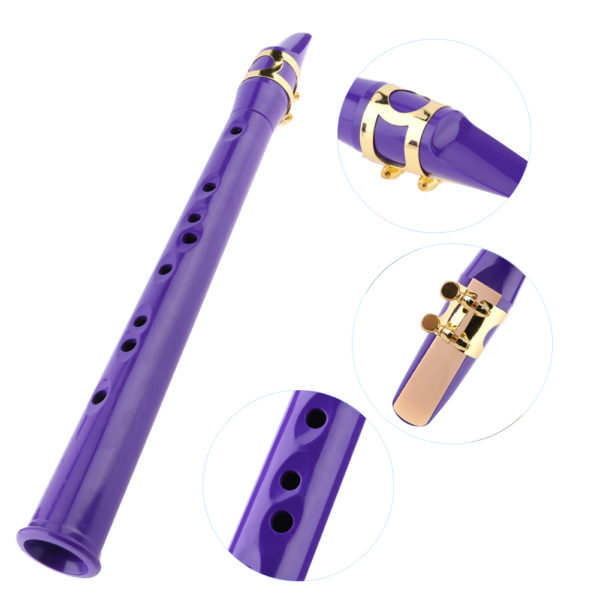 Mini Saxophone de poche 8 trous Portable petit Saxophone avec sac de transport Instrument vent en 5