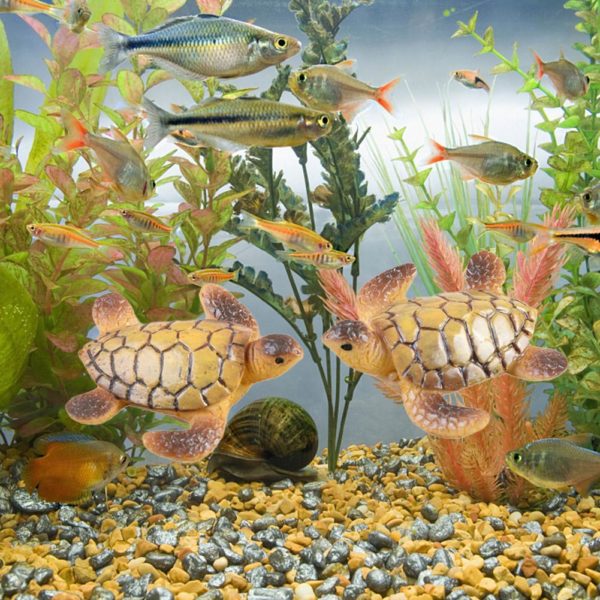 Mini tortue mod le r sine ornement beau travail accessoire de disposition d aquarium Aquarium paysage 3