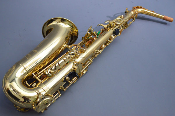 Saxophone Alto Eb professionnel de haute qualit Saxophone en laiton laqu or Instrument de musique avec 2