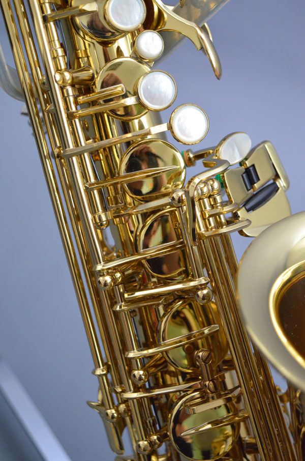 Saxophone Alto Eb professionnel de haute qualit Saxophone en laiton laqu or Instrument de musique avec 4